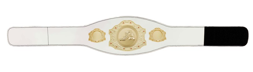 GOLD CHAMPIONSHIP BELT - XXLMIDI/G/JIUJITSU/G - AVAILABLE IN 4 LEATHER COLOURS GOLD CHAMPIONSHIP BELT - XXLMIDI/G/JIUJITSU/G - AVAILABLE IN 4 LEATHER COLOURS